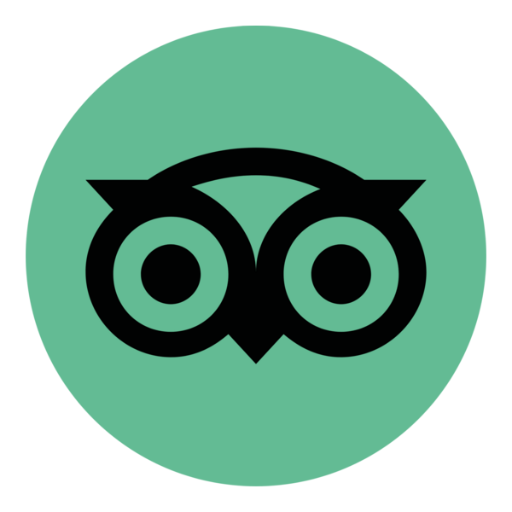 TripAdvisor AI